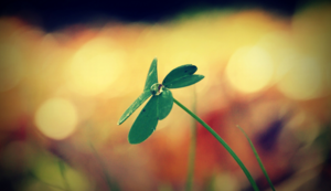 深圳男篮赛前准备充分，力争取得开门红